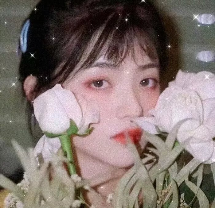 艾薇和豆豆：幽灵退散